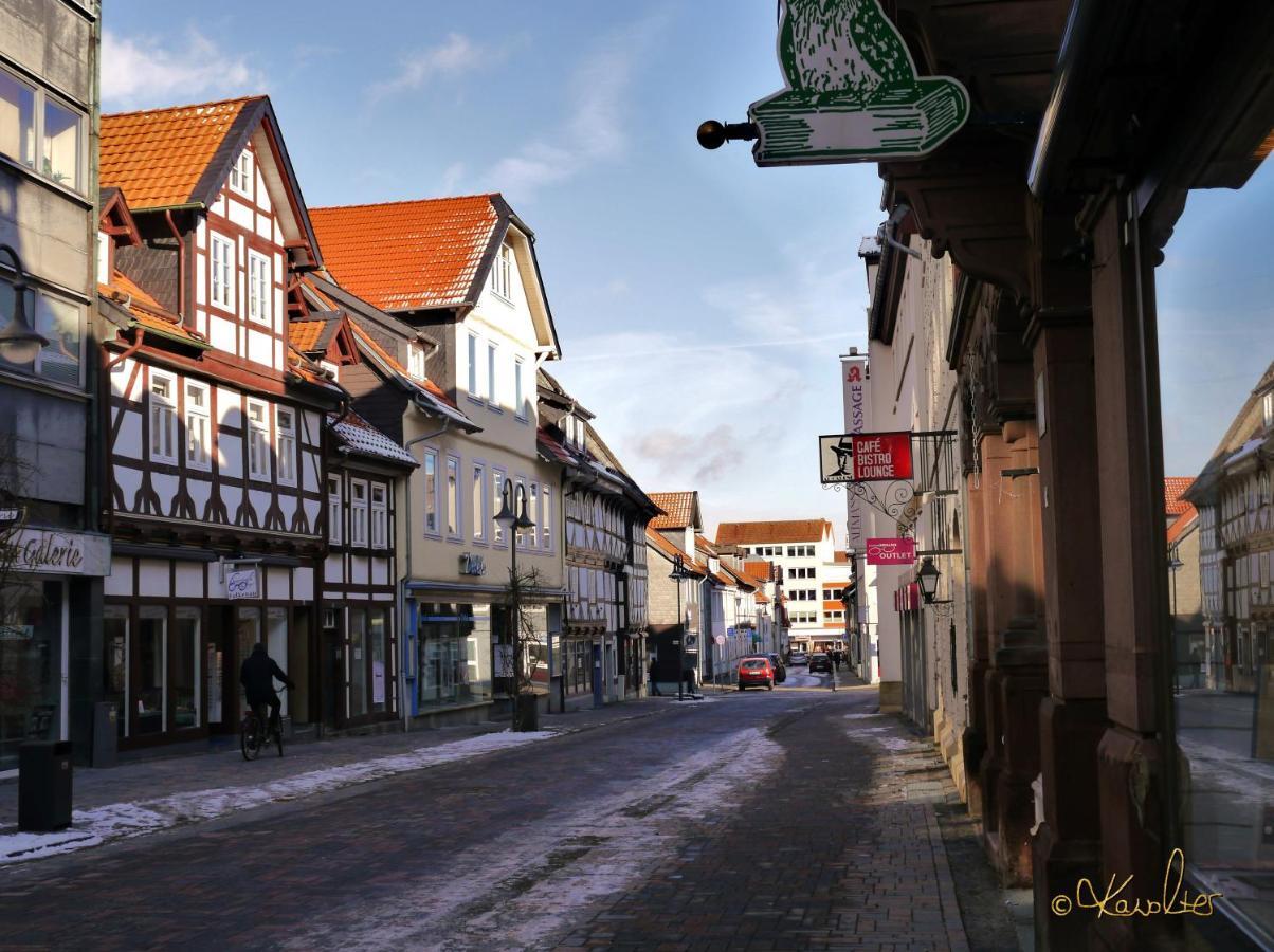 Haus-Wolter Apartment Goslar Exterior photo
